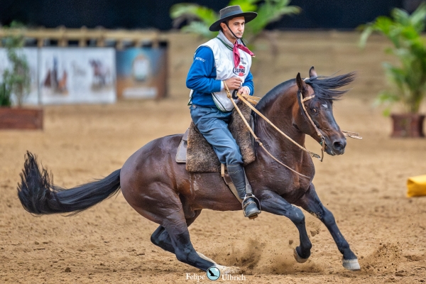 Raul Lima classifica cavalo para a final do Freio de Ouro
