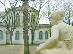 Prefeitura corre risco de desabar