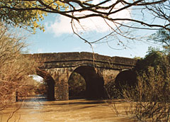 Mutirão na Ponte de Pedra