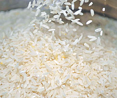 Mercosul aprova TEC de 30% para o arroz
