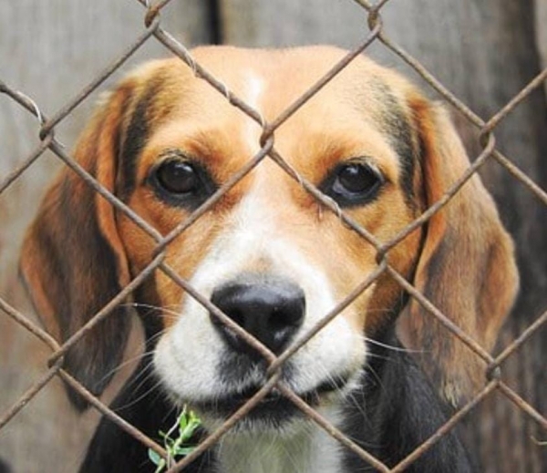 Prefeitura ainda não contratou empresa para cuidar do Cempra