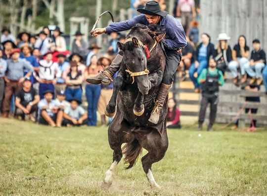 O desafio dos oito segundos