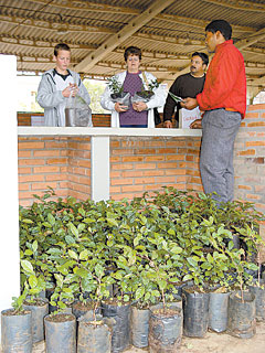 19ª Cubra Cachoeira de Verde