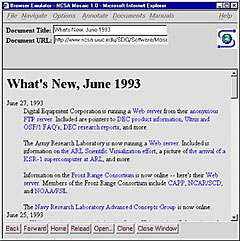 Primeiro  navegador  de internet  completa 10 anos