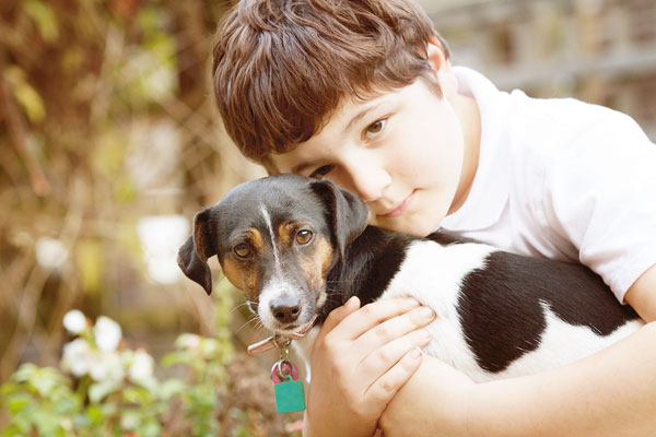 Como lidar com a perda do pet