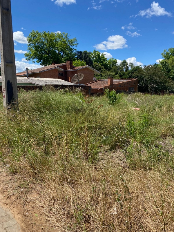Terreno no Bairro Barcelos não passa por limpeza há anos