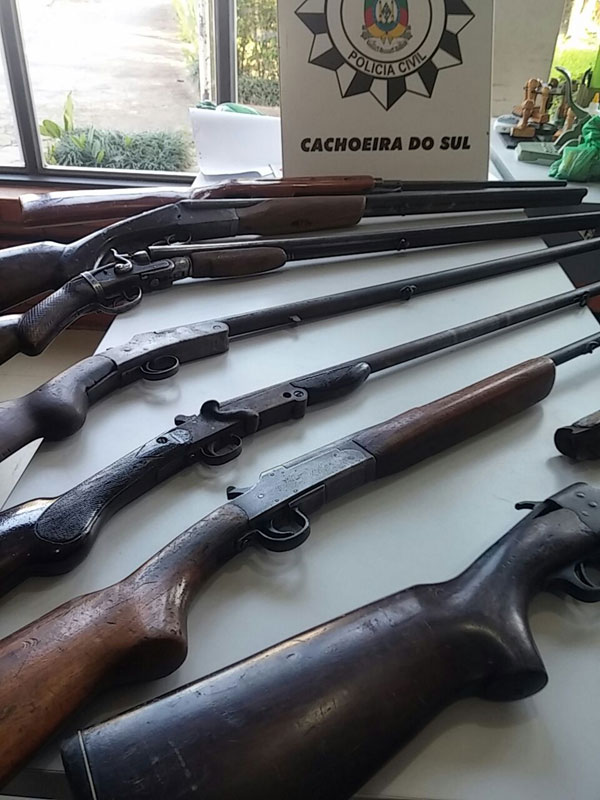 Polícia Civil apreende sete armas em operação na zona rural