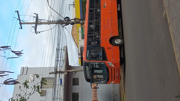 Justiça determina retomada imediata do transporte coletivo 