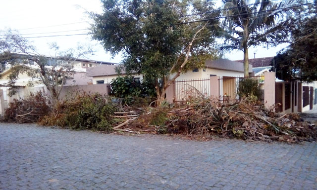 Prefeitura vai notificar a RGE Sul sobre os galhos abandonados nas ruas