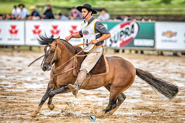 Raul Lima é o Freio de Bronze 2019