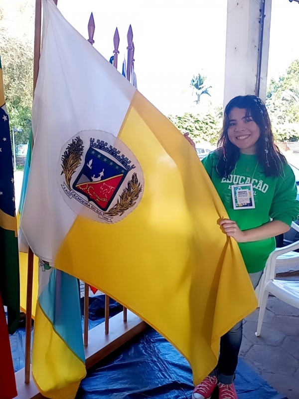 Estudante desenvolve projeto para gerar energia a partir de raios