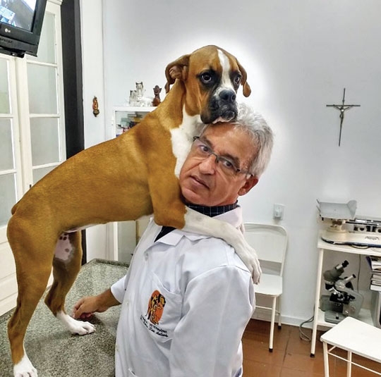 50 anos de dedicação à medicina veterinária