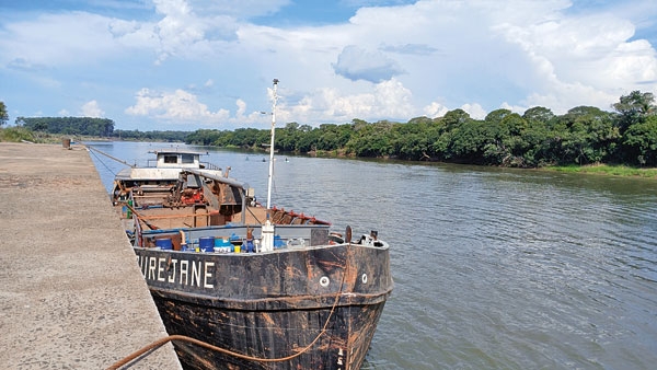 Laurejane volta a emergir no Jacuí