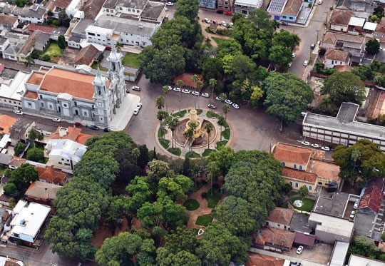 O futuro das árvores