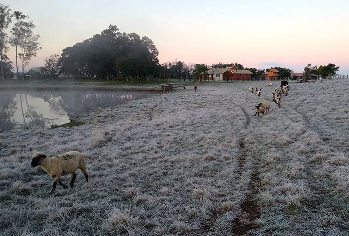 Cachoeira do Sul registra a mais baixa temperatura do ano: -0,86