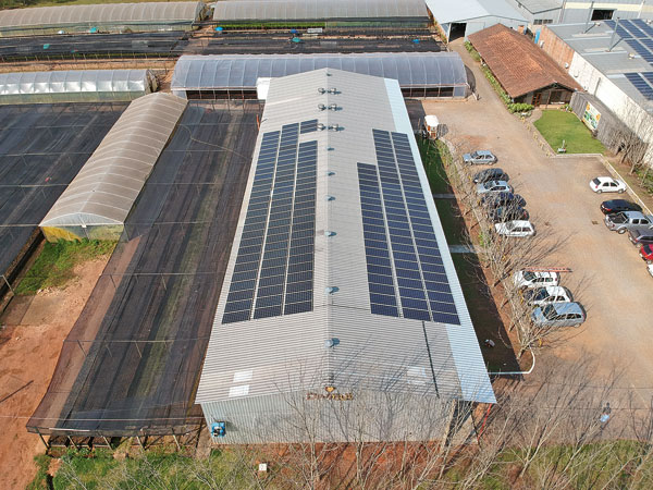 Economia e meio ambiente limpo com a Solled Energia