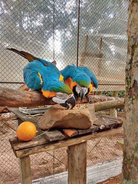 Um lugar para respirar a vida