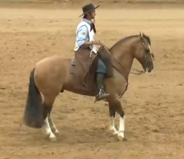 Raul Lima vence o Bocal de Ouro 2025