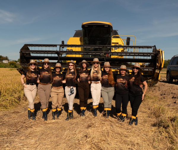 Fenarroz 2026 escolhe sua corte neste sábado