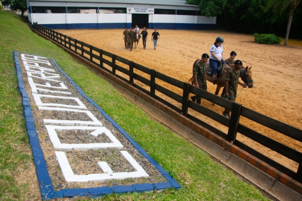 Centro de Equoterapia chega aos 20 anos