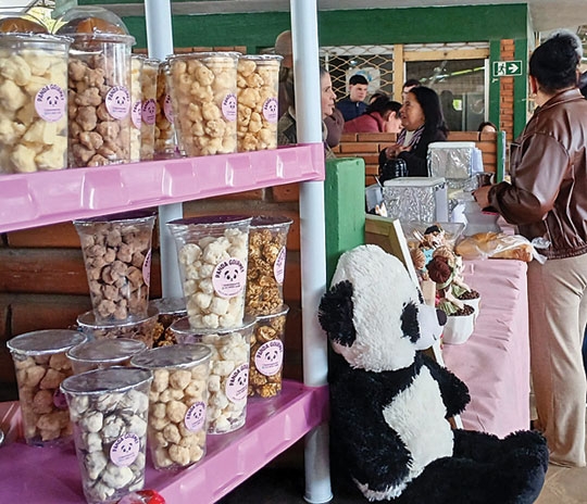 3ª Feira Mãos que Criam