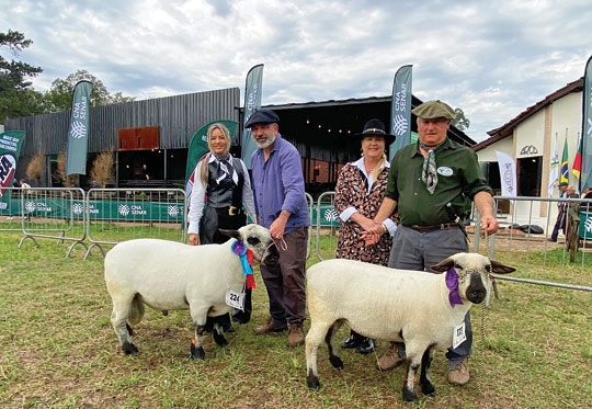 Hampshire de Cachoeira é premiado
