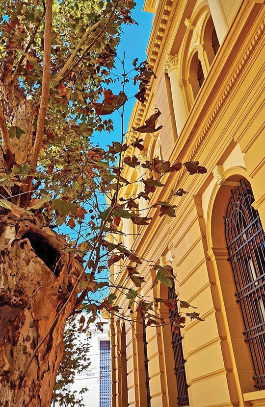 Marco da Rua 7 ganhou vida nova