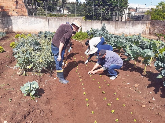 Tischler é o novo parceiro da horta comunitária