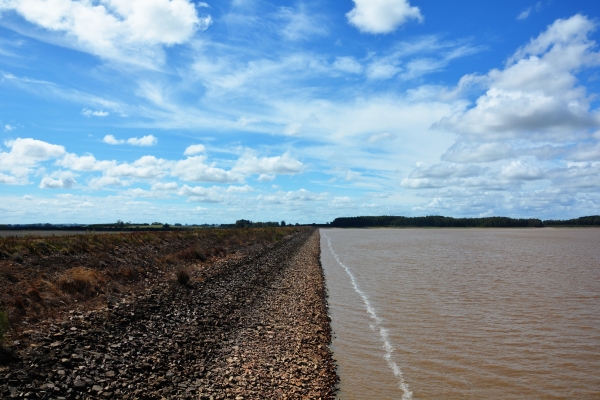 Redução de água para o arroz revolta produtores