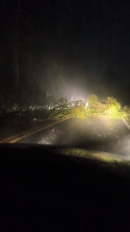 Temporal já soma 32 ocorrências em Cachoeira