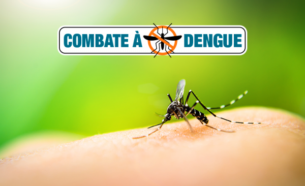 Saúde conquista recurso extra para lutar contra a dengue