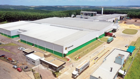 Todesmade impulsiona a economia