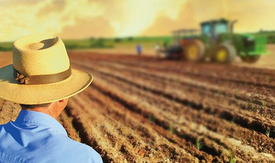 Agro passado à limpo