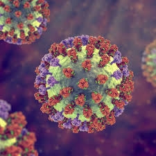 Cachoeira confirma primeiro caso de influenza A do ano