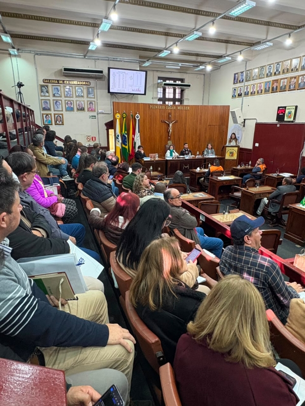 Câmara reúne especialistas e municípios para discutir prevenção a desastres