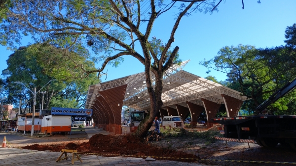 Prefeitura inicia remoção de árvore para alargamento da Francisco Gama