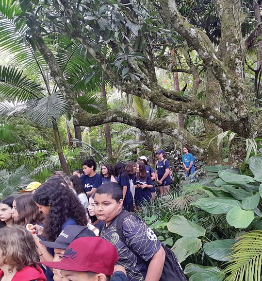 A paz no Parque Witeck