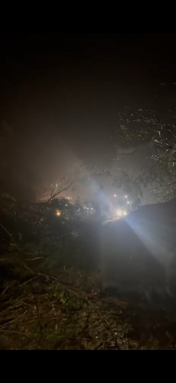 Queda de árvore bloqueia a BR 153 em Cachoeira do Sul 
