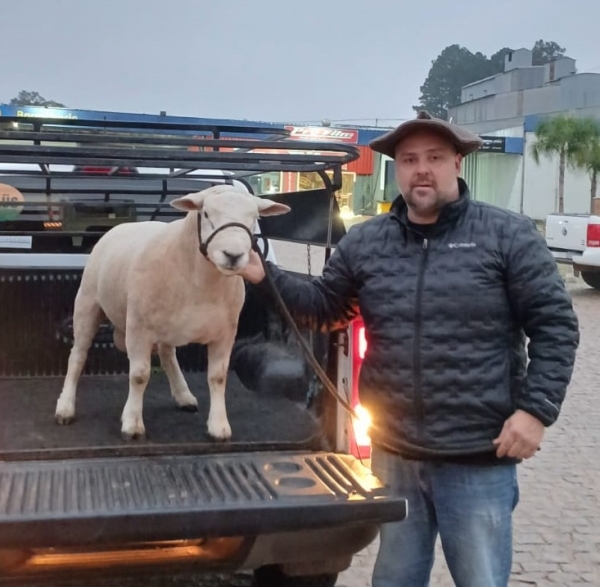 Novo Cabrais tem animal premiado na Expointer