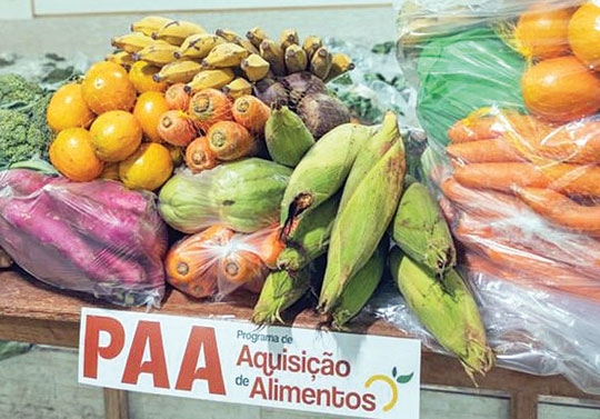 Governo federal garante alimentos para indígenas