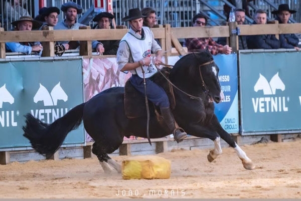 Cavalo de Cachoeira do Sul é sétimo colocado no Freio de Ouro
