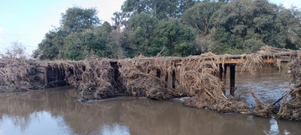 Ponte no Bosque vai custar R$ 1,79 milhão