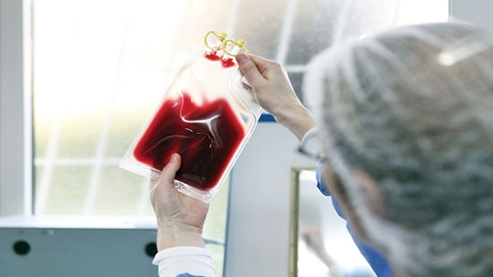 Jornada de um hemofílico