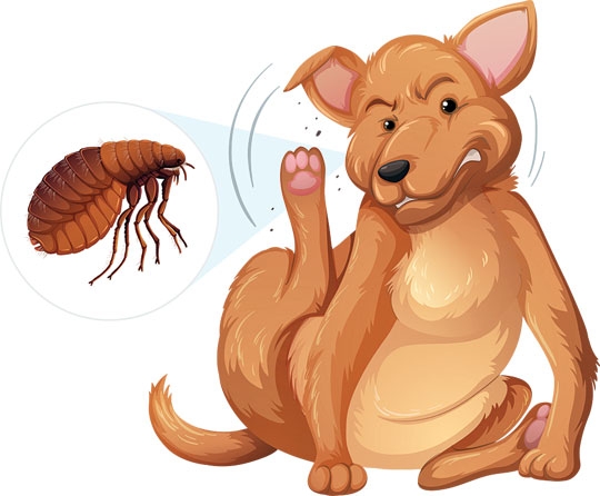 INIMIGOS INVISÍVEIS