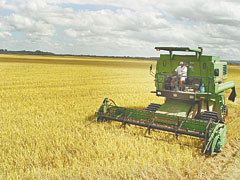 Cachoeira garante uma boa colheita