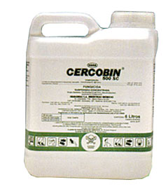 RS pode regular preços dos insumos