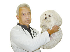 Três perguntas para Edson Luiz Salomão