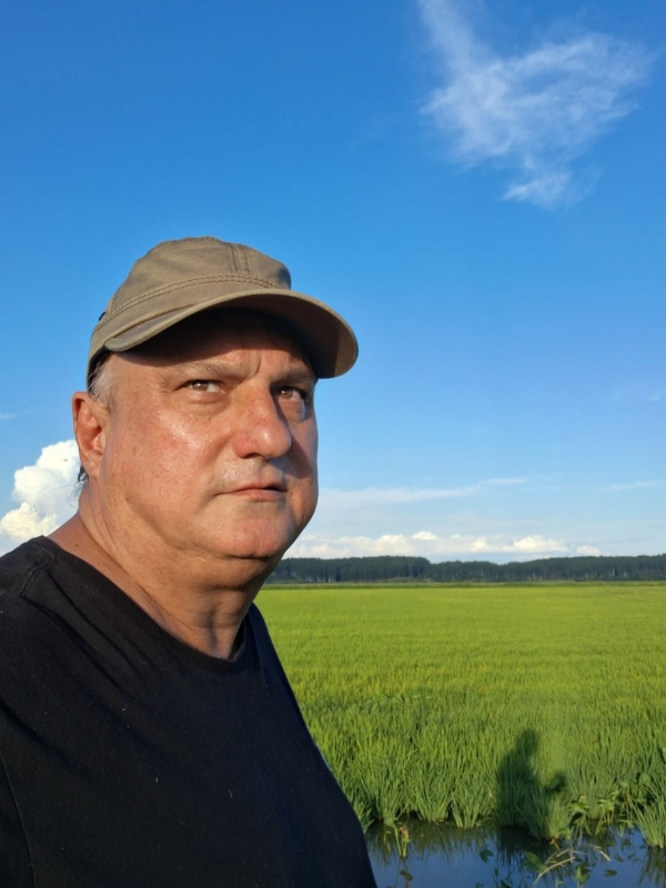 Arroz não paga a conta da lavoura