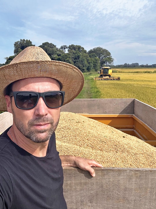 El Niño desafia o arroz