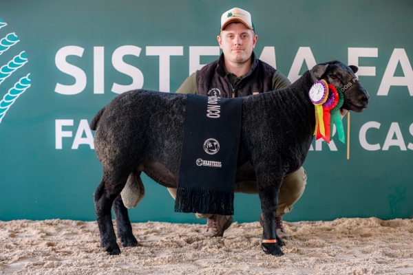 Cabanha Dois Pinheiros estreia com premiação na Expointer 